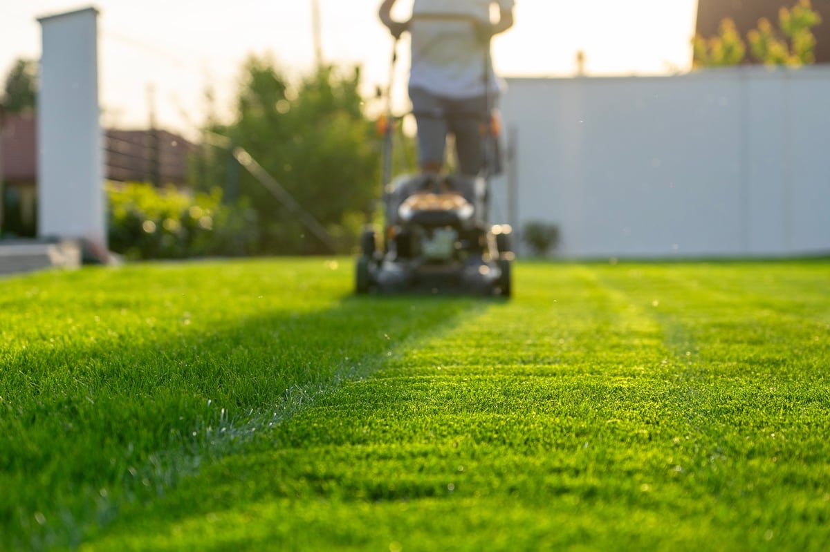 Lawn mower cutting green grass